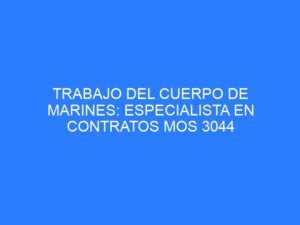 Lee más sobre el artículo Trabajo del Cuerpo de Marines: Especialista en contratos MOS 3044