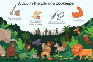 Lee más sobre el artículo ¿Qué hace un cuidador del zoológico?