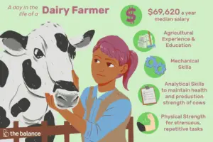 Lee más sobre el artículo ¿Qué hace un granjero lechero?