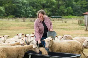 Lee más sobre el artículo Cómo convertirse en un granjero de ovejas