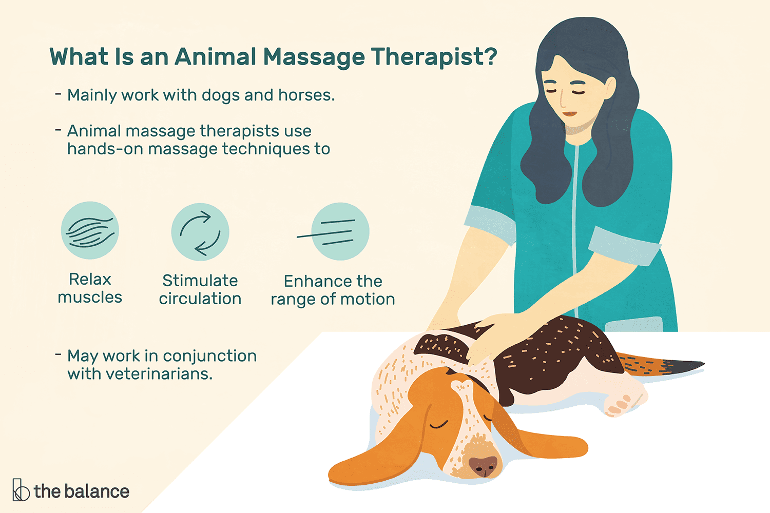En este momento estás viendo ¿Qué hace un terapeuta de masaje animal?