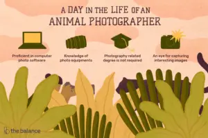 Lee más sobre el artículo ¿Qué hace un fotógrafo de animales?