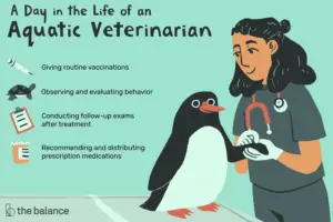 Lee más sobre el artículo ¿Qué hace un veterinario acuático?