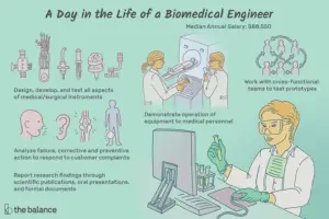 Lee más sobre el artículo ¿Qué hace un ingeniero biomédico?
