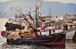 Lee más sobre el artículo Aprenda todo sobre los trabajos de pesca en Alaska