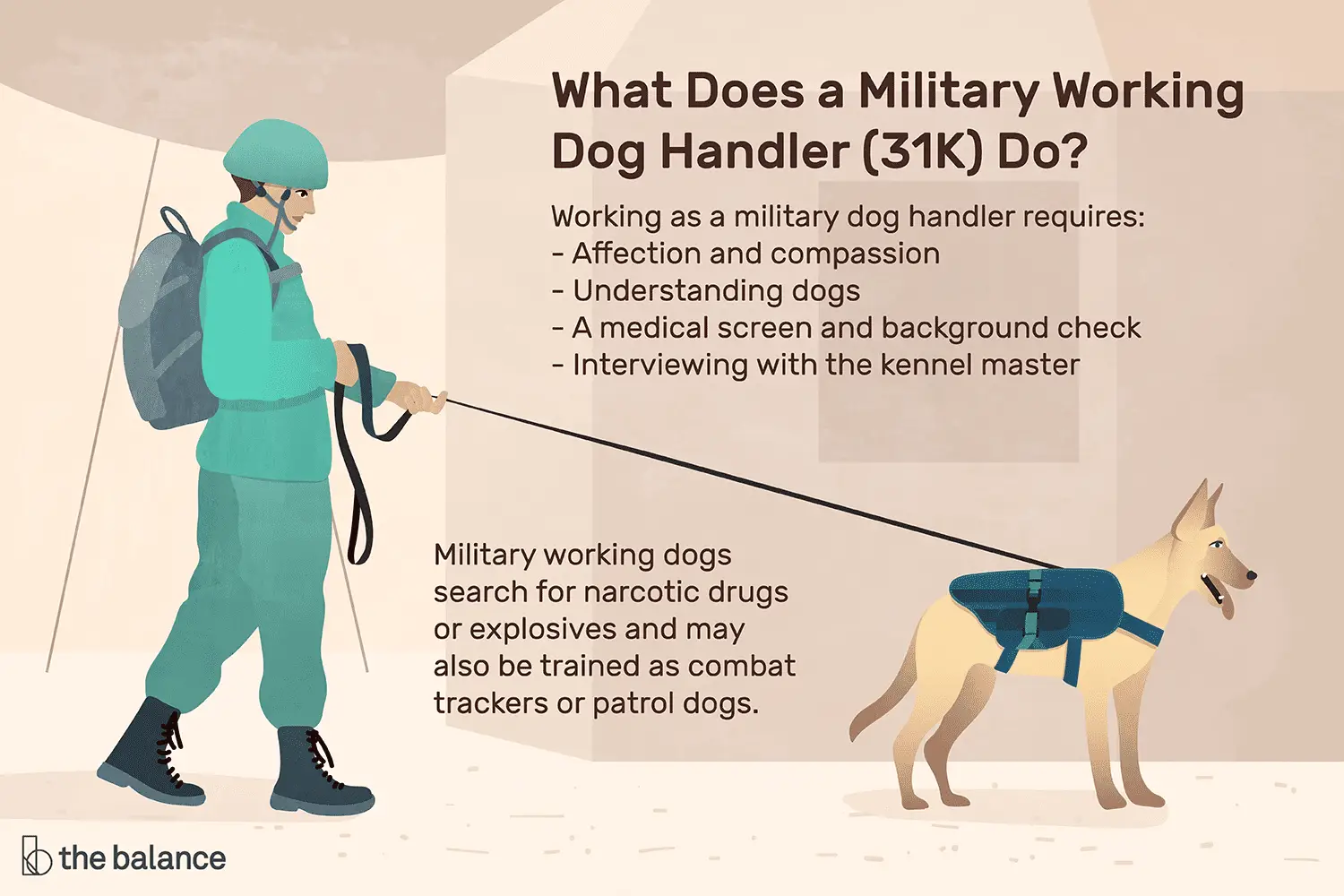 En este momento estás viendo ¿Qué hace un adiestrador de perros de trabajo militar (31K)?