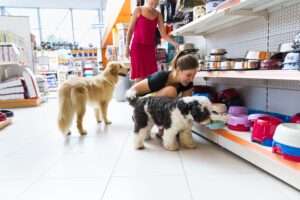 Lee más sobre el artículo Estrategia de marketing para tiendas de mascotas