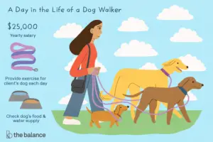 Lee más sobre el artículo ¿Qué hace un paseador de perros?