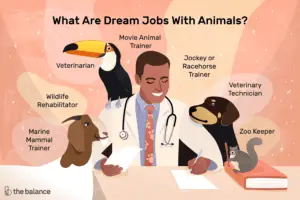 Lee más sobre el artículo Encontrar trabajo trabajando con animales