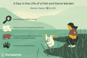 Lee más sobre el artículo ¿Qué hace un vigilante de pesca y caza?