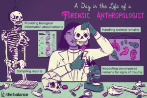 Lee más sobre el artículo ¿Qué hace un antropólogo forense?