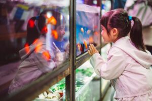 Lee más sobre el artículo Cómo abrir una tienda de mascotas con peces tropicales