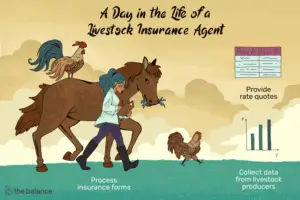 Lee más sobre el artículo ¿Qué hace un agente de seguros de ganado?