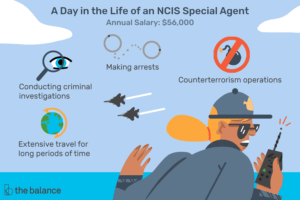 Lee más sobre el artículo Perfil de trabajo: Carrera de agente especial de NCIS