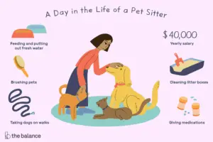 Lee más sobre el artículo ¿Qué hace un cuidador de mascotas?