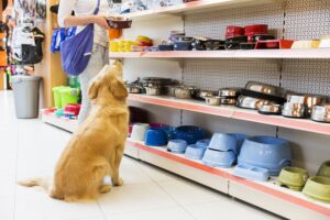 Lee más sobre el artículo Ideas publicitarias geniales para tiendas de mascotas
