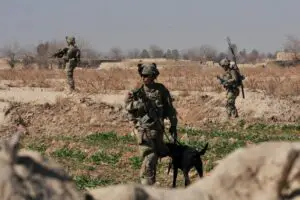 Lee más sobre el artículo Descripción del puesto del ejército: Manejador de perros de trabajo militar 31K