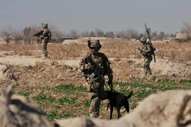 En este momento estás viendo Descripción del puesto del ejército: Manejador de perros de trabajo militar 31K