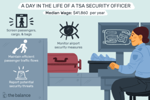 Lee más sobre el artículo ¿Qué hace un oficial de seguridad en el transporte de la TSA?