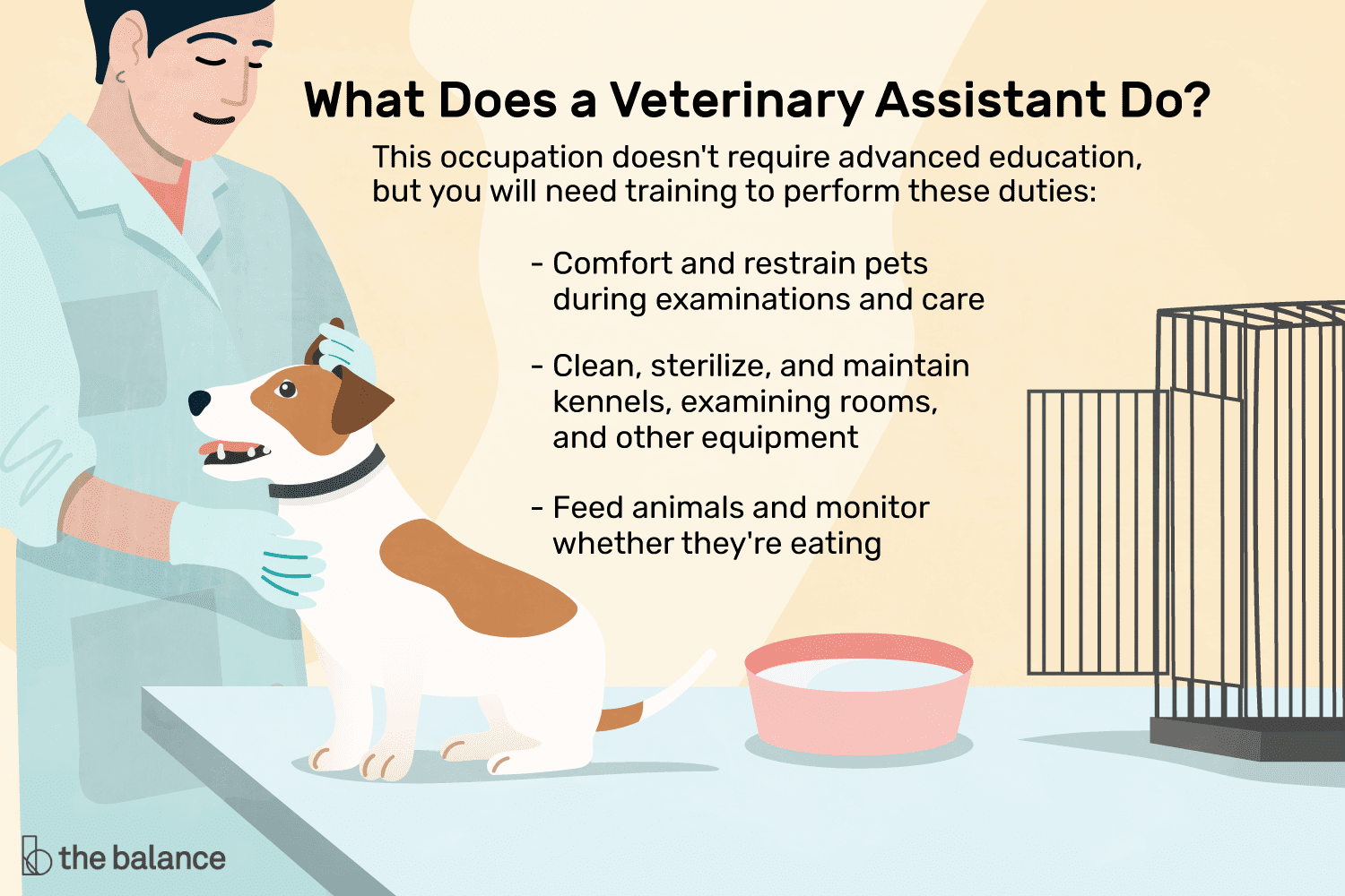 En este momento estás viendo ¿Qué hace un asistente veterinario?