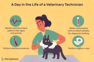 Lee más sobre el artículo ¿Qué hace un técnico veterinario?