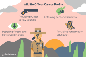 Lee más sobre el artículo ¿Qué hace un oficial de vida silvestre?