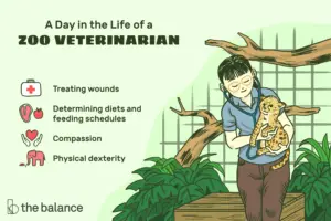 Lee más sobre el artículo ¿Qué hace un veterinario de zoológico?